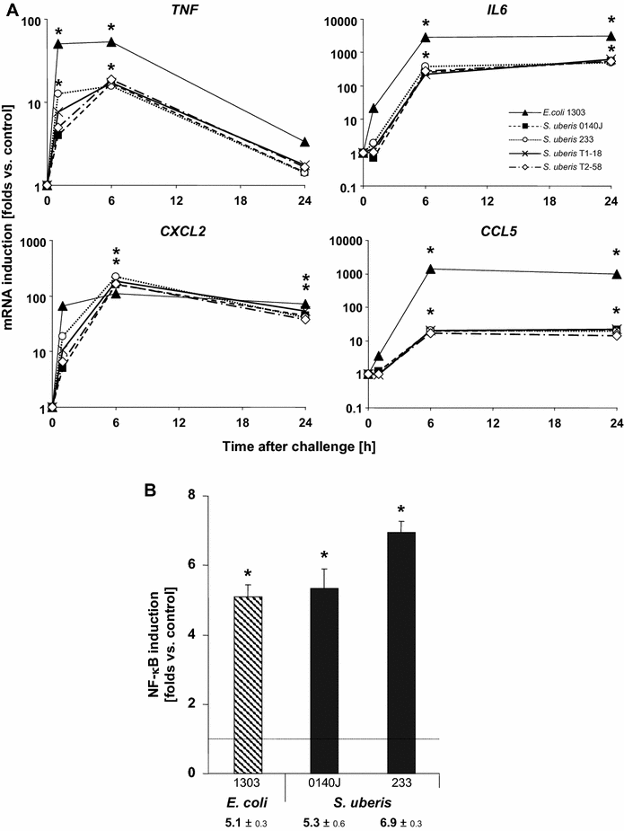 Figure 5