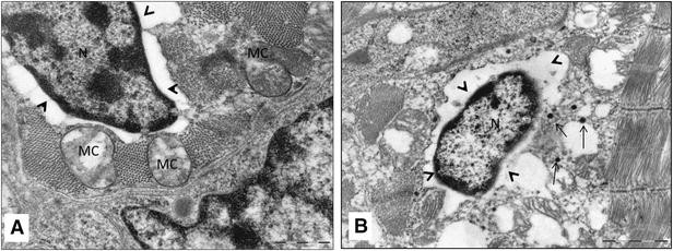 Figure 4