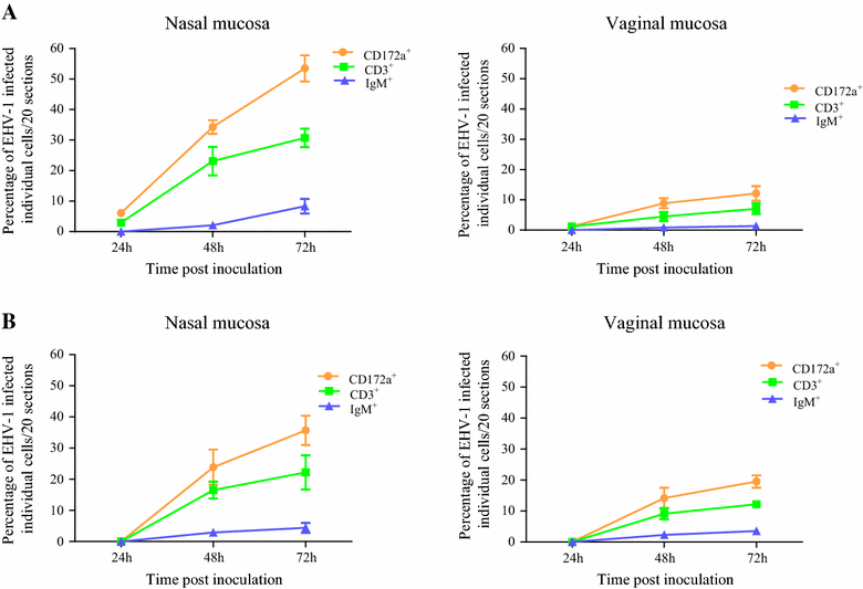 Figure 5