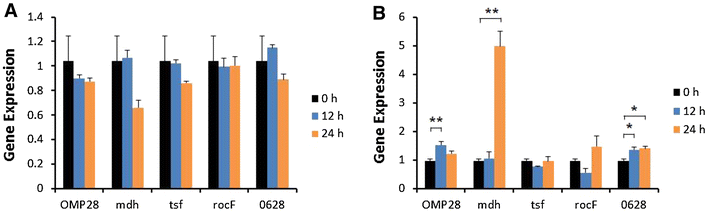 Figure 10