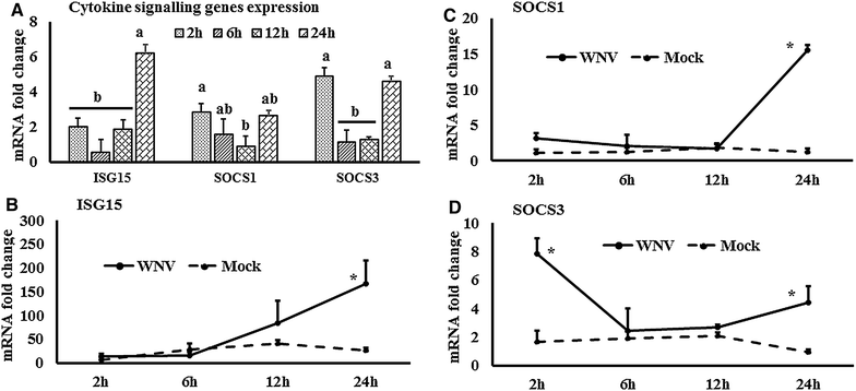 Figure 5