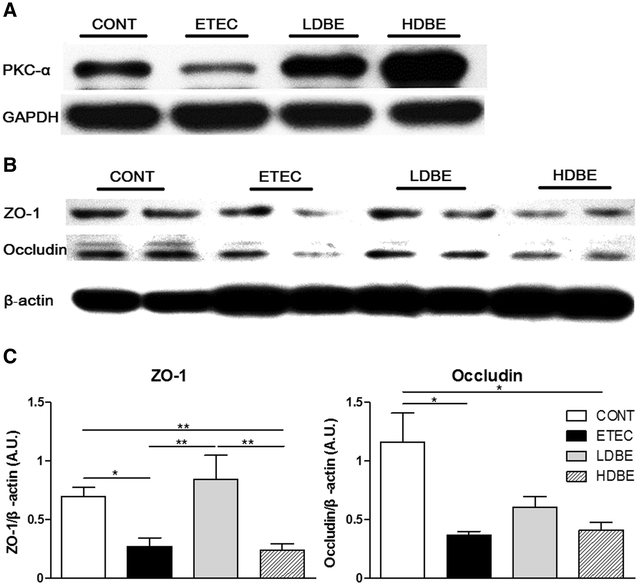 Figure 6