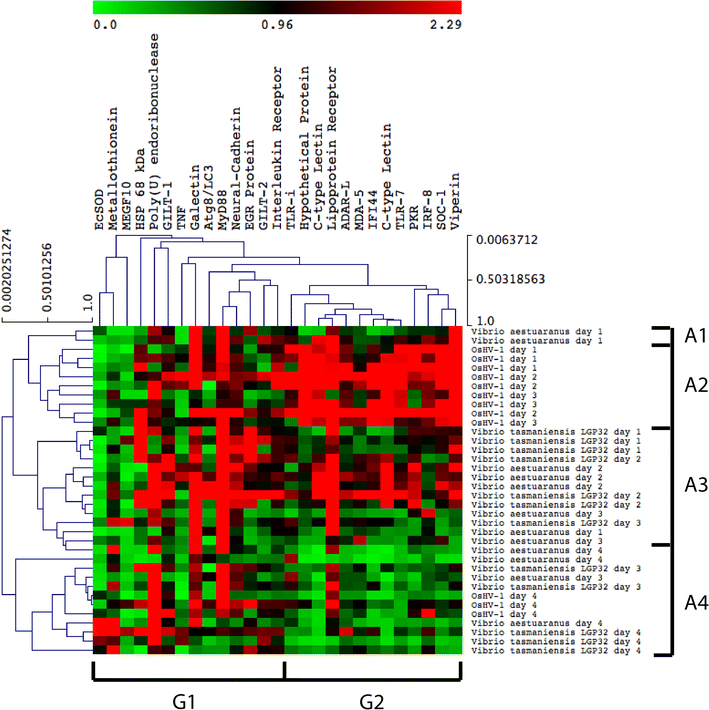 Figure 5