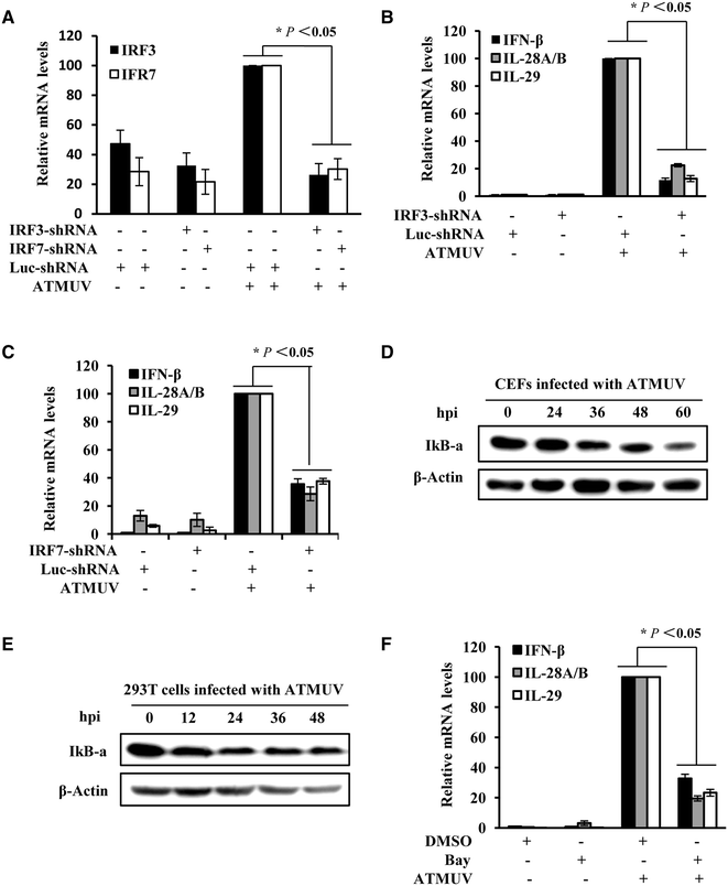 Figure 7