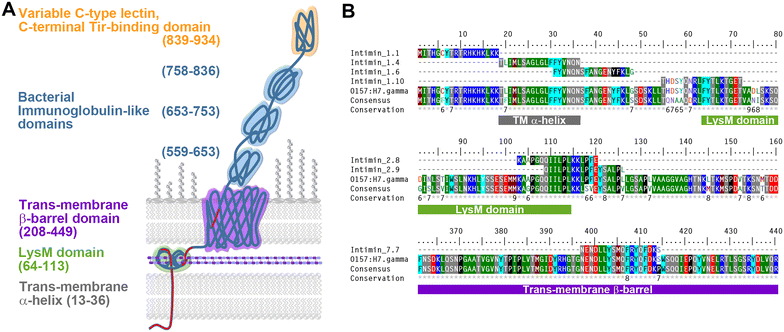 Figure 4