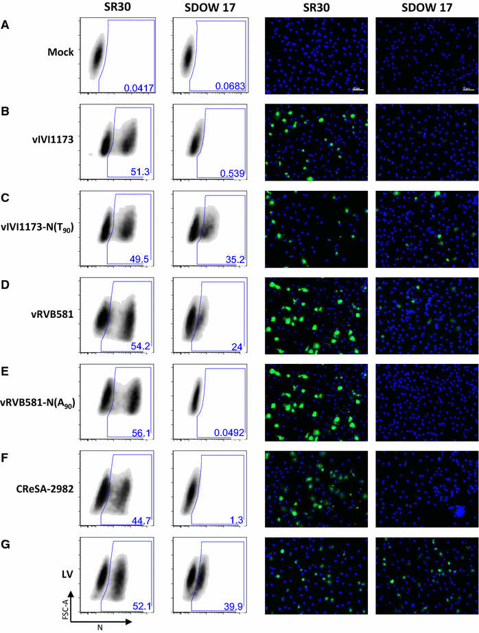 Figure 5