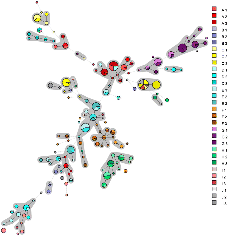 Figure 1