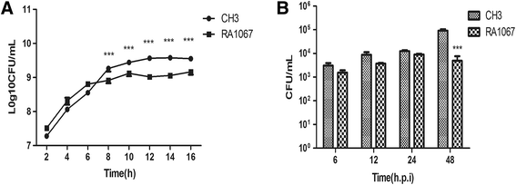 Figure 4