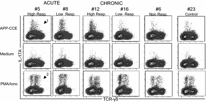 Figure 5