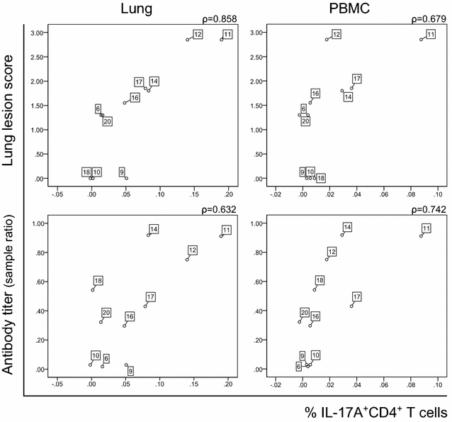 Figure 7