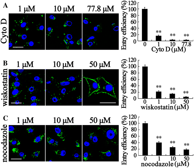 Figure 6