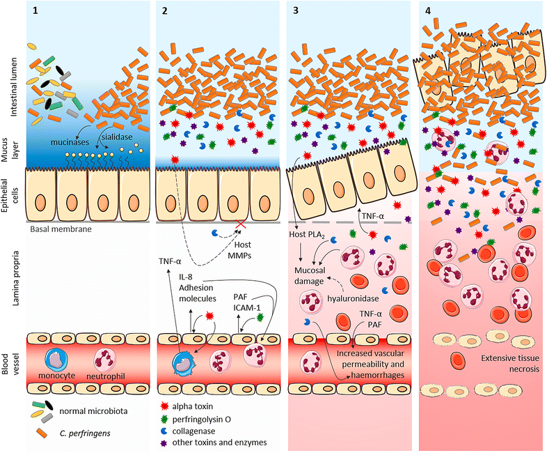 Figure 3