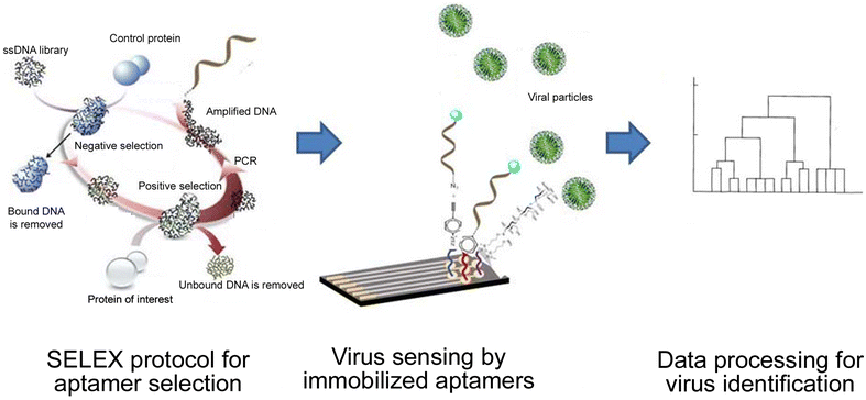 Figure 6