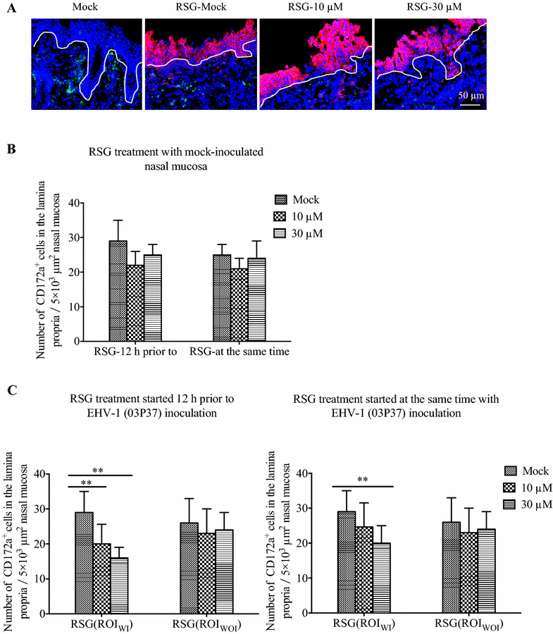 Figure 5