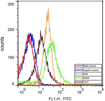 Figure 2