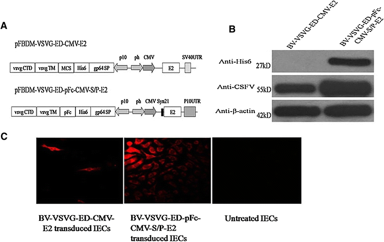 Figure 4