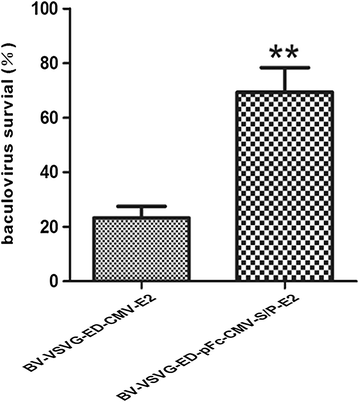 Figure 5