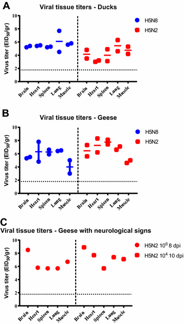 Figure 5