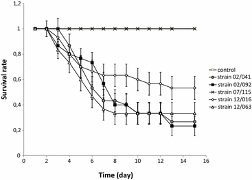 Figure 3