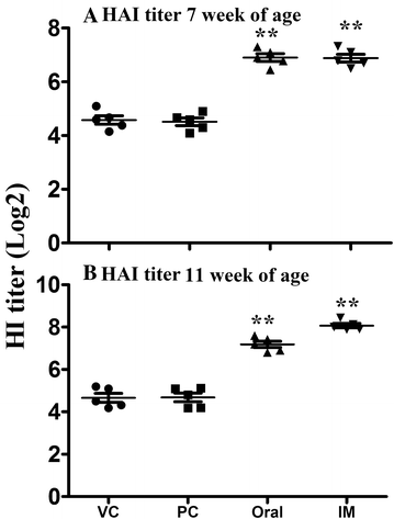 Figure 5