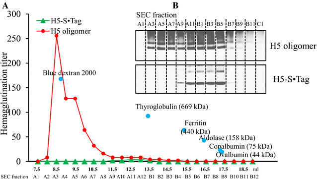 Figure 5