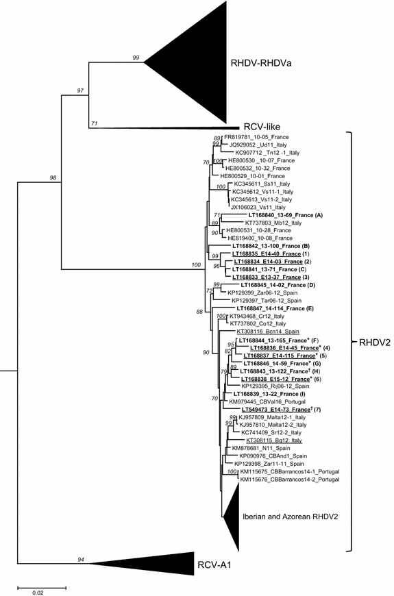 Figure 2