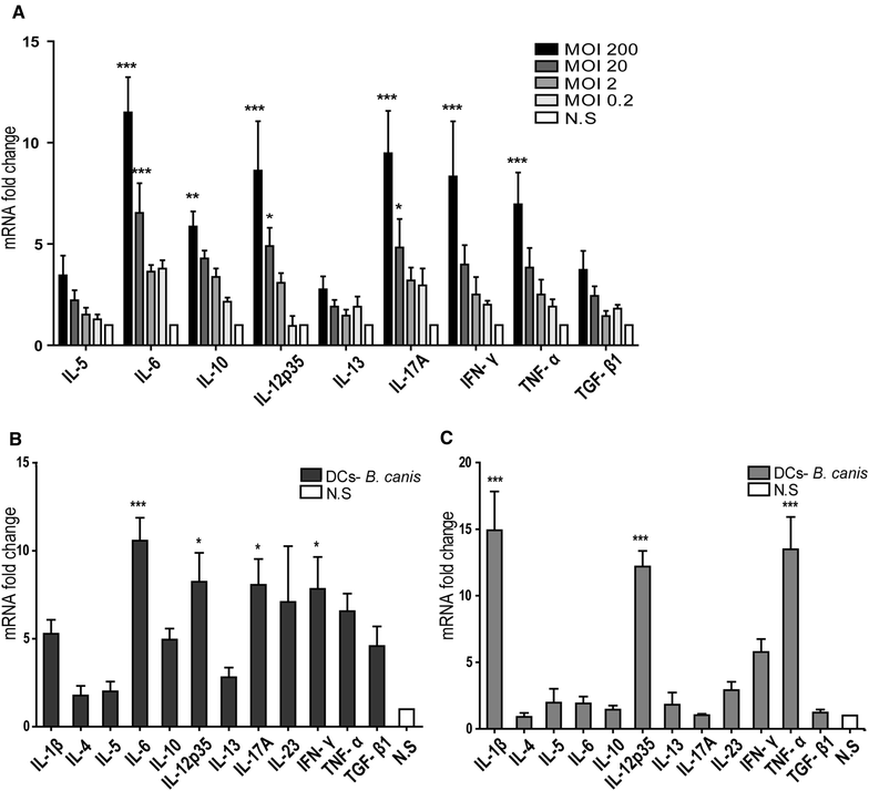 Figure 4