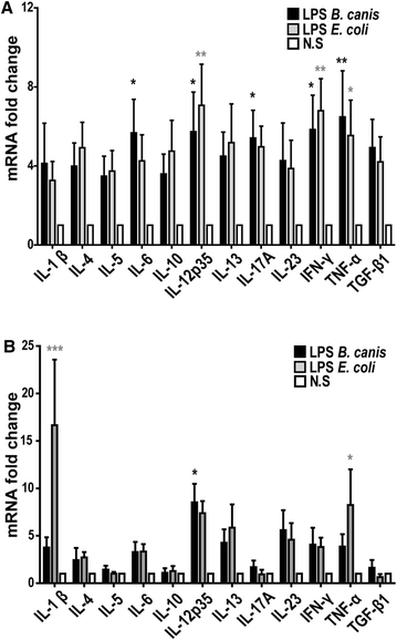 Figure 5