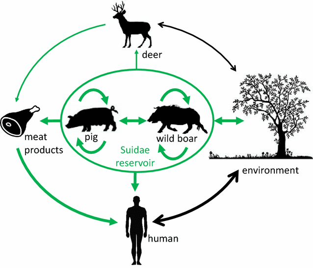 Figure 2