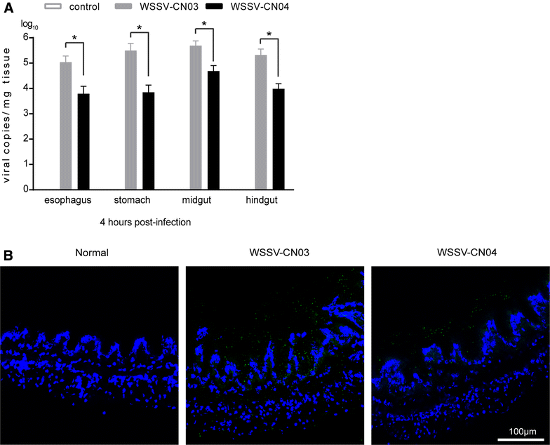 Figure 6