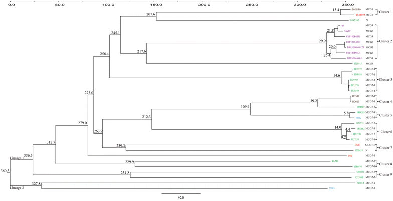 Figure 3