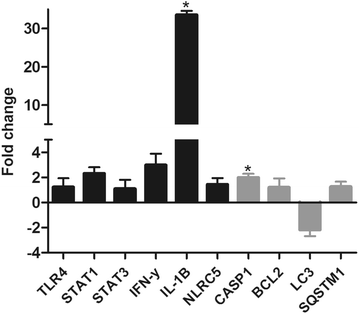 Figure 4