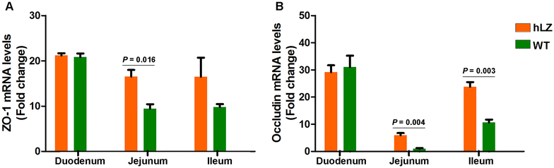 Figure 3