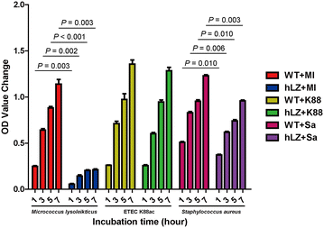 Figure 4