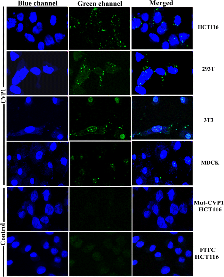 Figure 2