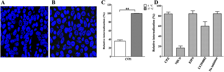 Figure 7