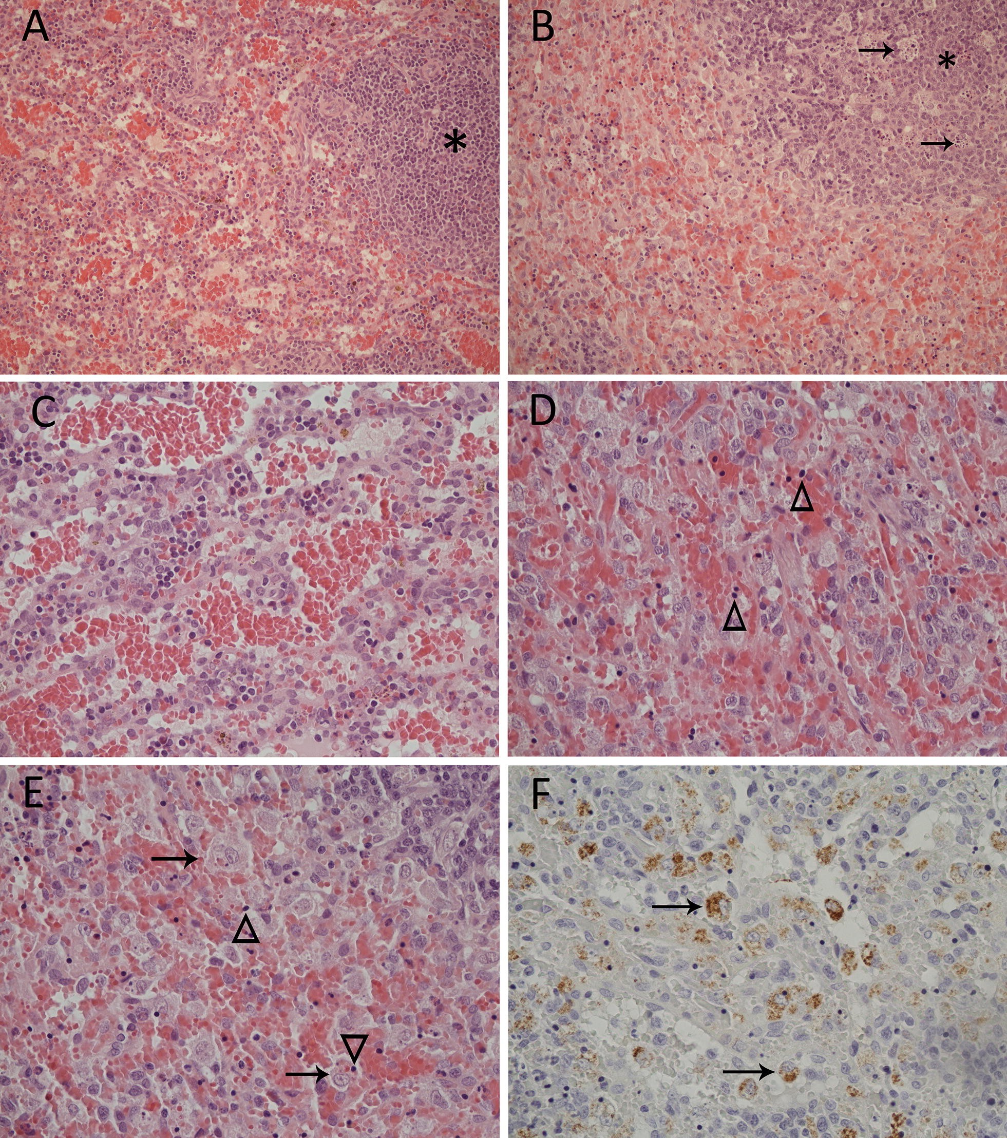 Figure 2