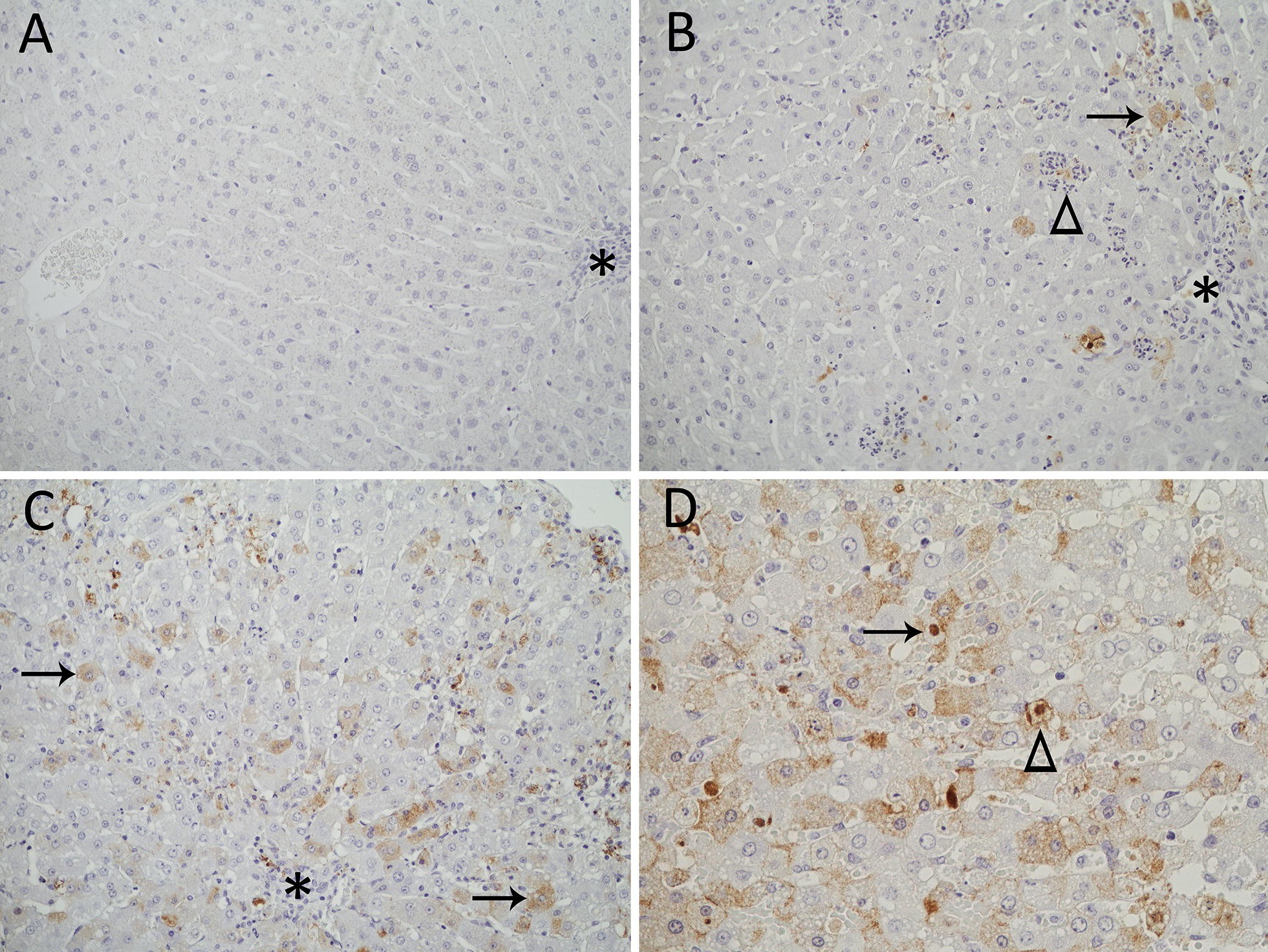 Figure 4