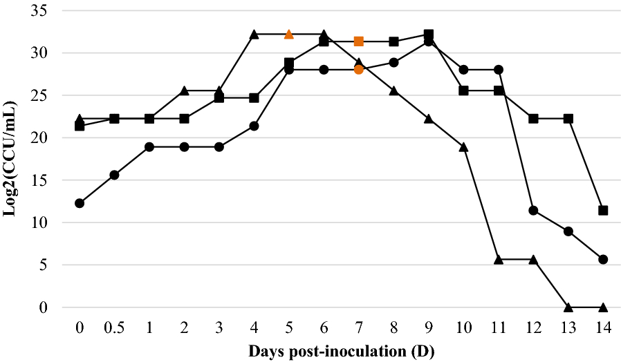 Figure 2