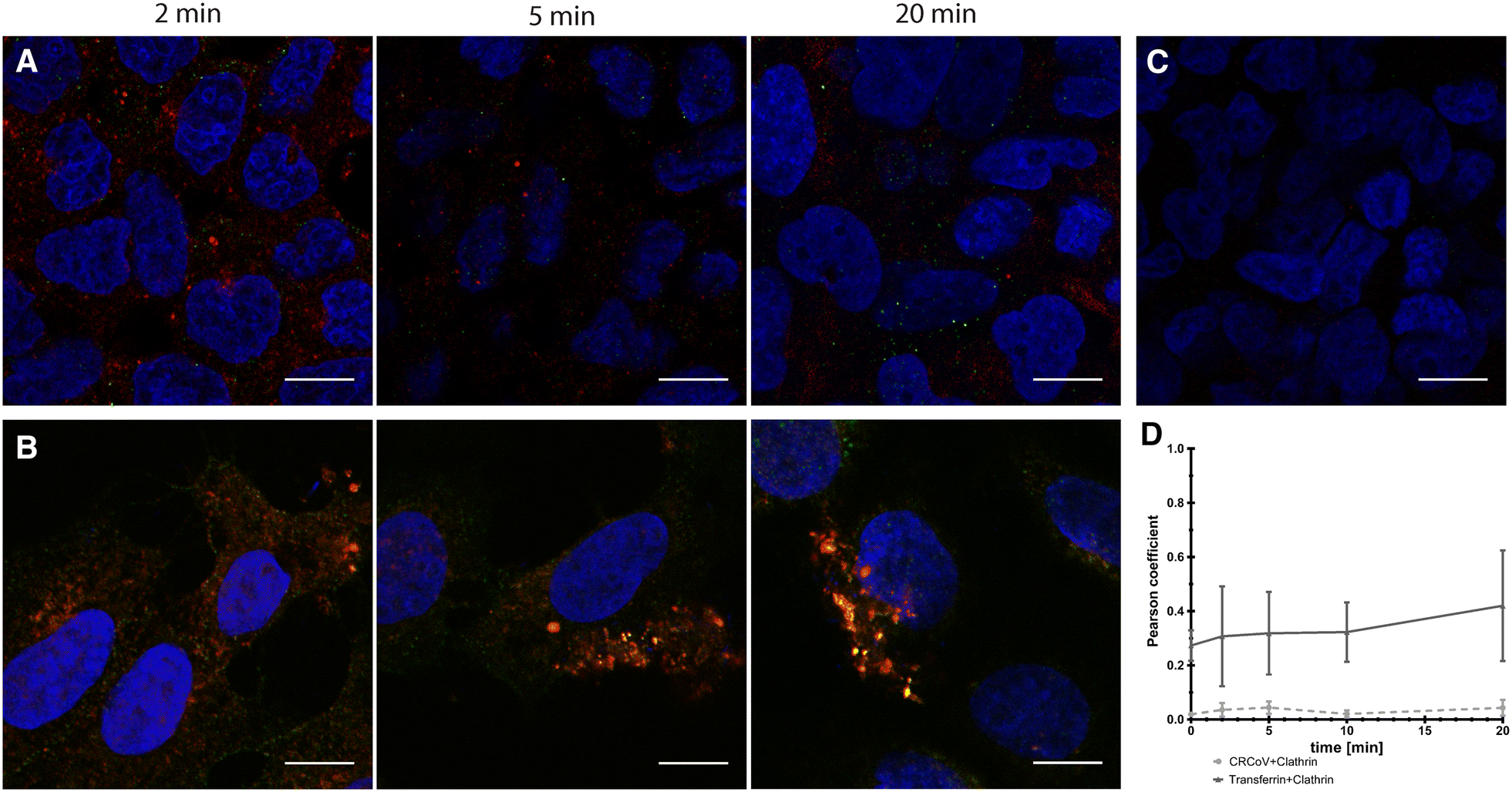 Figure 9