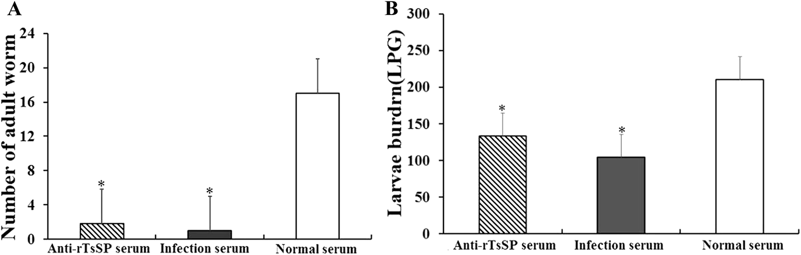 Figure 13