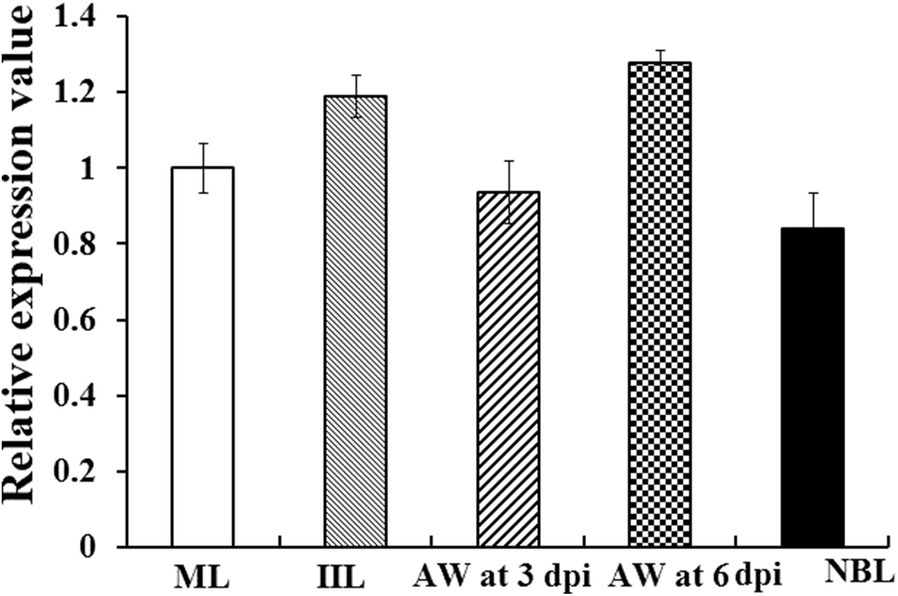 Figure 1