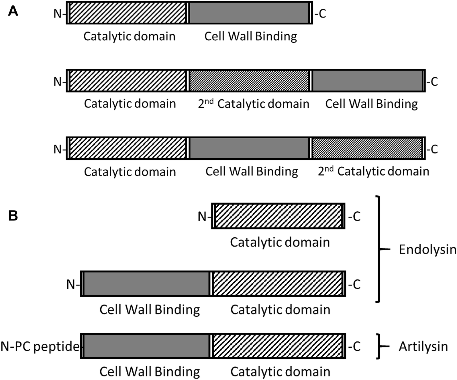 Figure 2