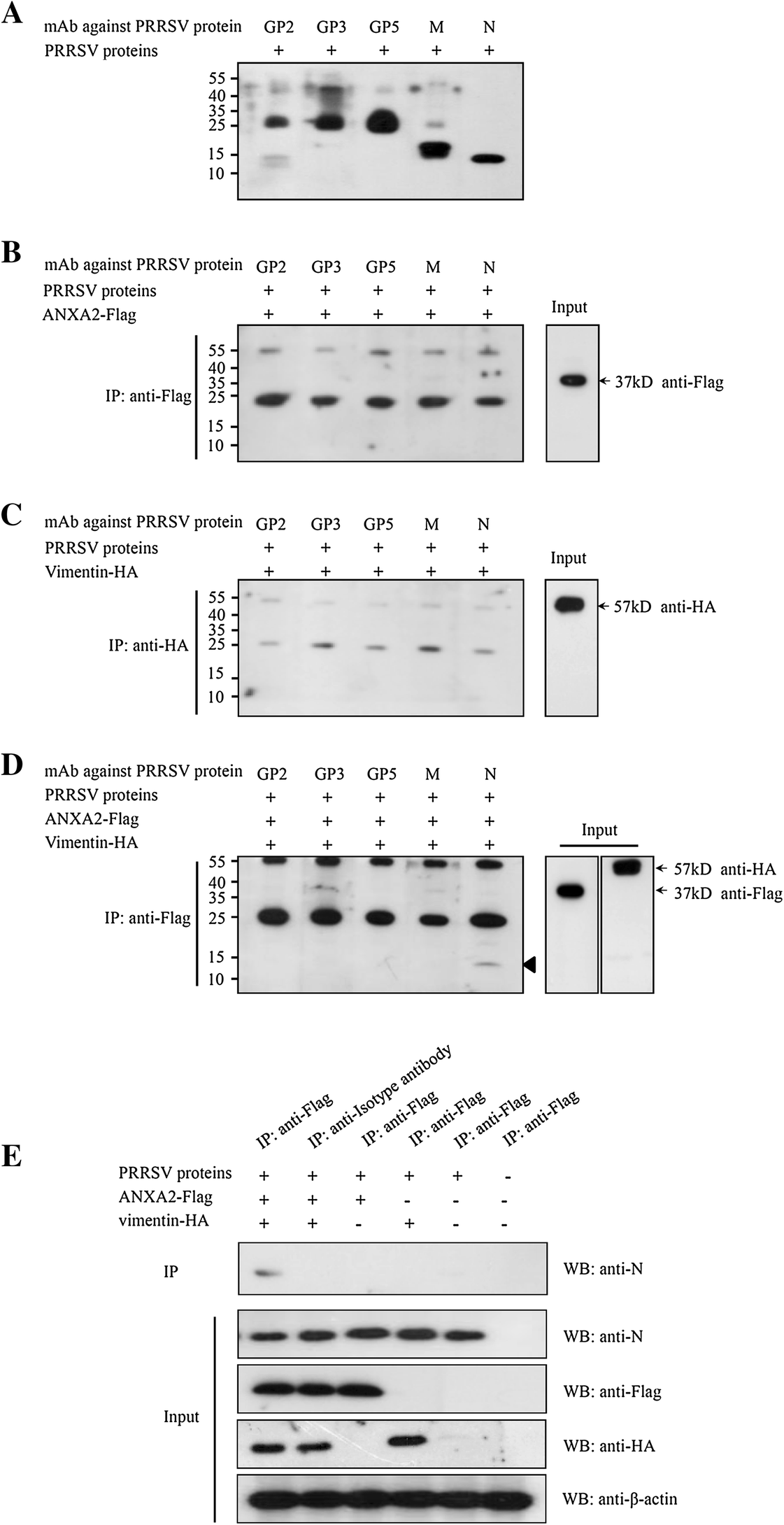 Figure 7