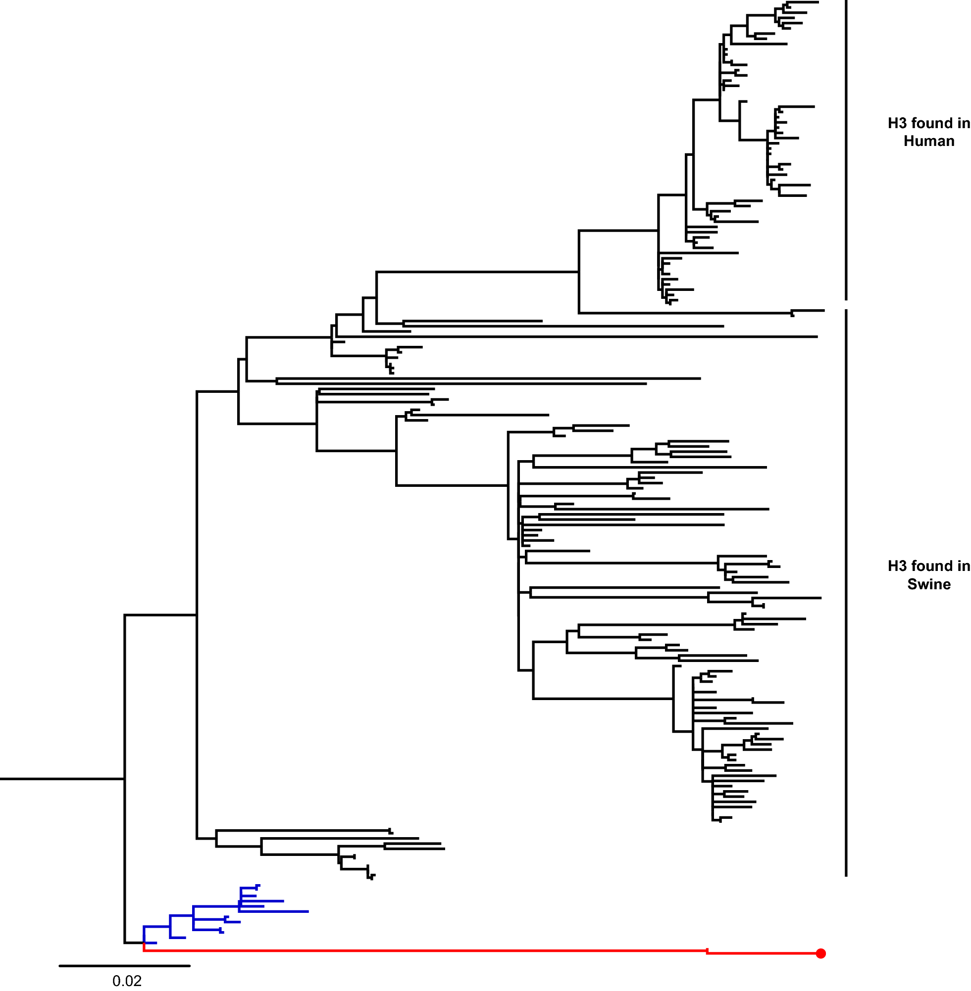 Figure 2