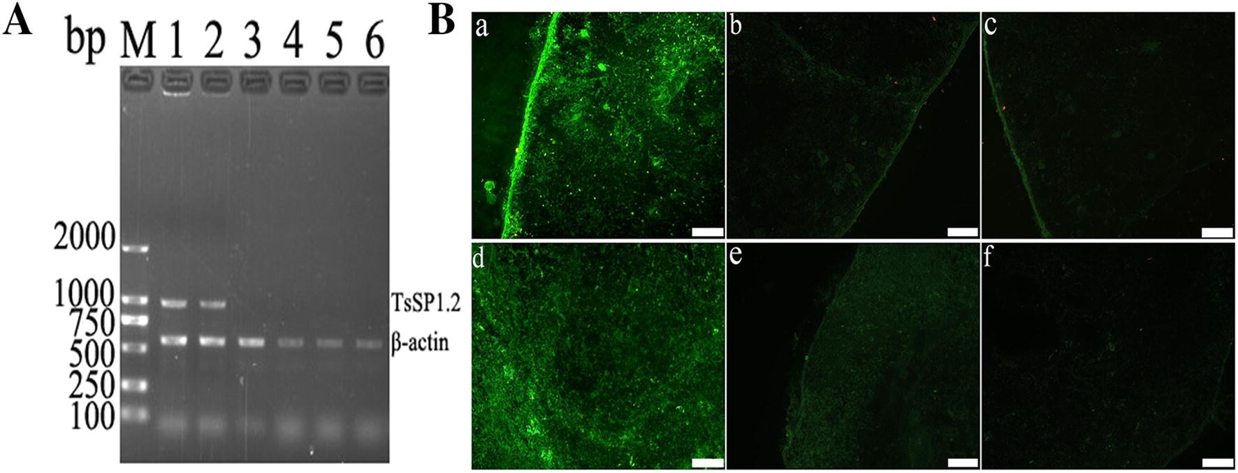 Figure 2