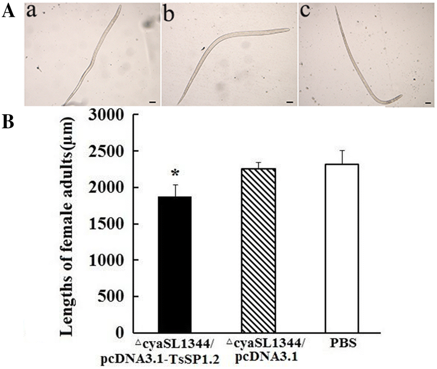 Figure 9