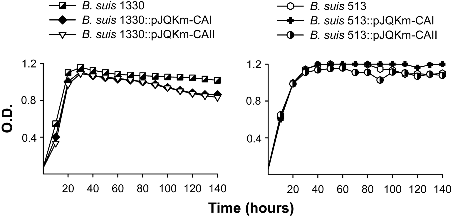 Figure 2