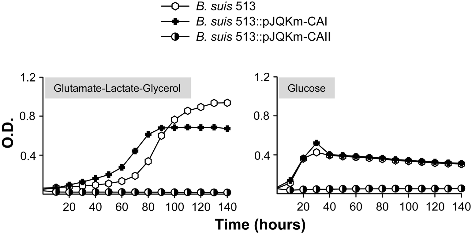 Figure 4