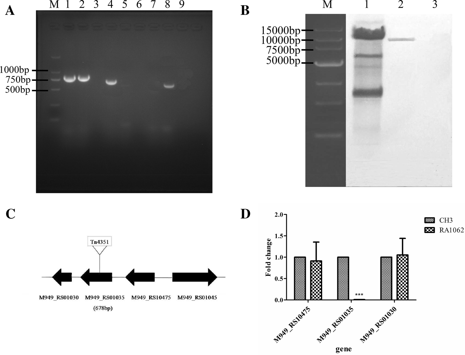 Figure 1